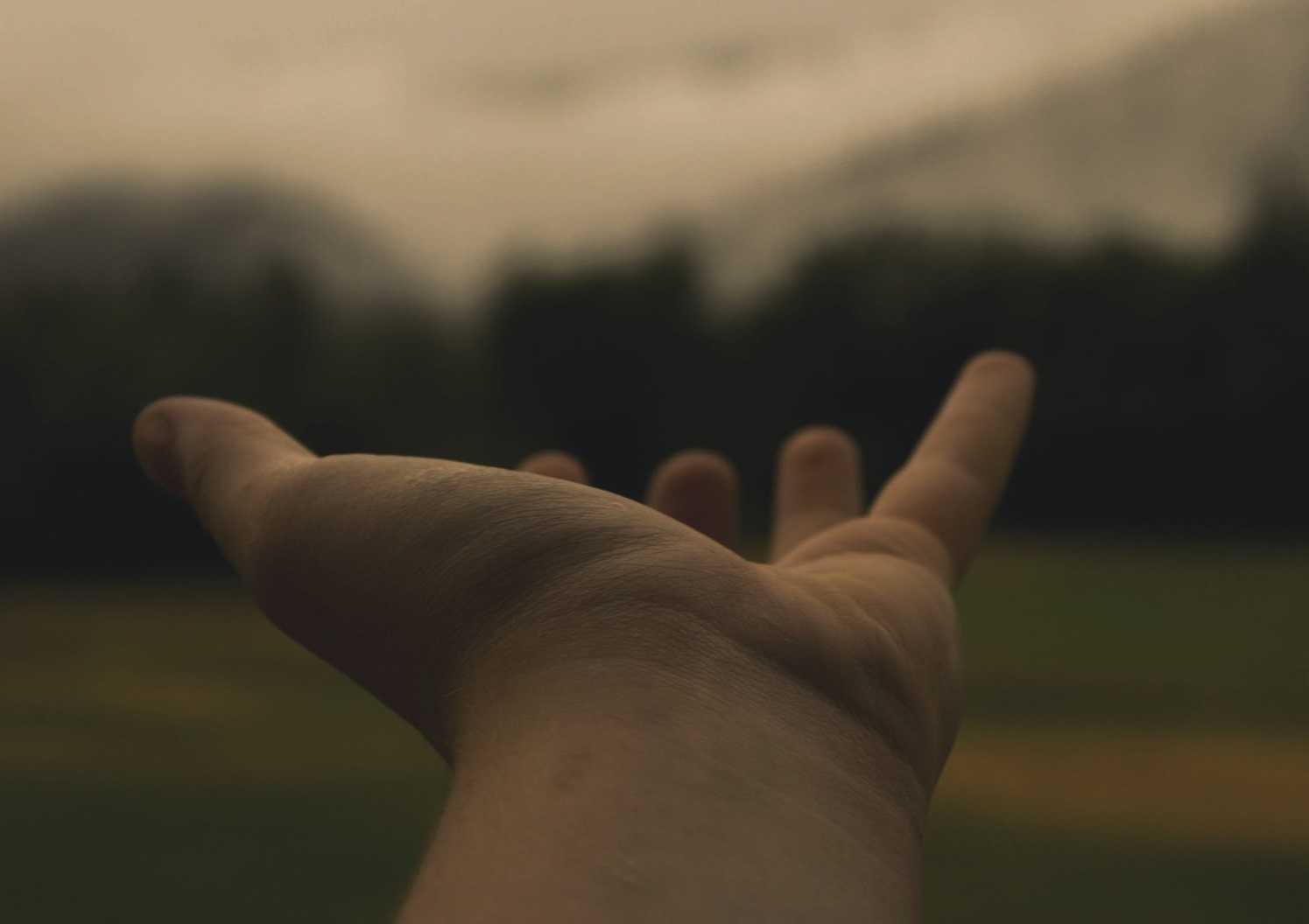 Contacto Muebles Caloto