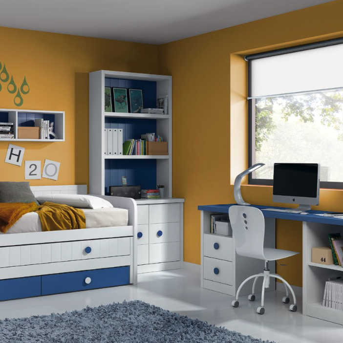 Cama auxiliar juvenil y escritorio